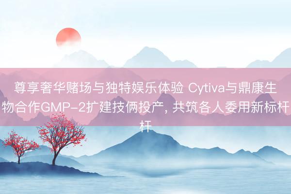 尊享奢华赌场与独特娱乐体验 Cytiva与鼎康生物合作GMP-2扩建技俩投产， 共筑各人委用新标杆