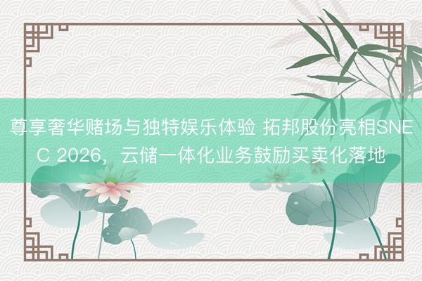 尊享奢华赌场与独特娱乐体验 拓邦股份亮相SNEC 2026，云储一体化业务鼓励买卖化落地