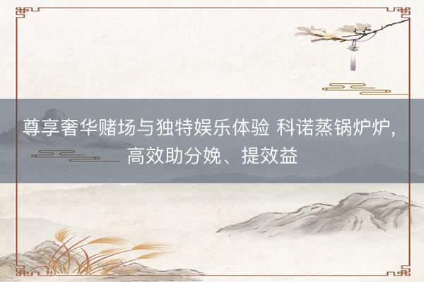 尊享奢华赌场与独特娱乐体验 科诺蒸锅炉炉, 高效助分娩、提效益